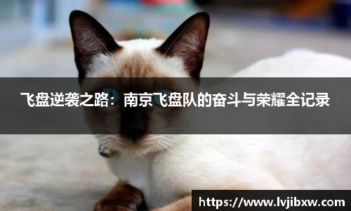 飞盘逆袭之路：南京飞盘队的奋斗与荣耀全记录